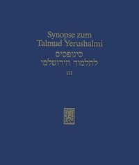 bokomslag Synopse zum Talmud Yerushalmi