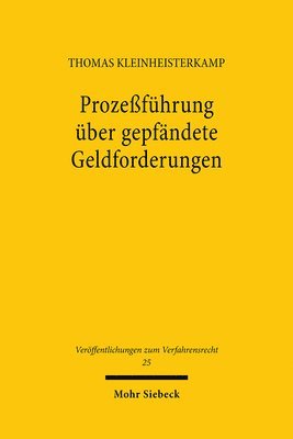 bokomslag Prozefhrung ber gepfndete Geldforderungen