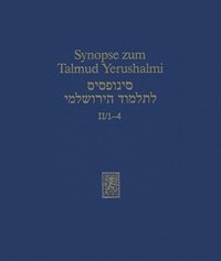 bokomslag Synopse Zum Talmud Yerushalmi