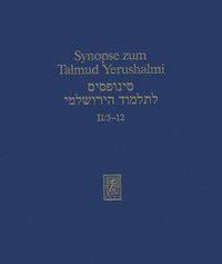 bokomslag Synopse Zum Talmud Yerushalmi