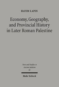 bokomslag Economy, Geography, and Provincial History in Later Roman Palestine