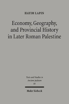 bokomslag Economy, Geography, and Provincial History in Later Roman Palestine