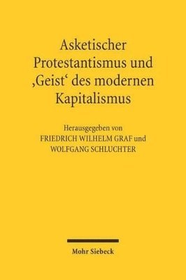 Friedrich Wilhelm Graf, Wolfgang Schluchter - Asketischer Protestantismus und der 'Geist' des modernen Kapitalismus, Häftad