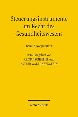 Arndt Schmehl, Astrid Wallrabenstein - Steuerungsinstrumente im Recht des Gesundheitswesens, Häftad