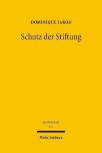 bokomslag Schutz der Stiftung