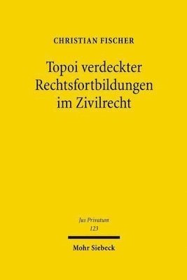bokomslag Topoi verdeckter Rechtsfortbildungen im Zivilrecht