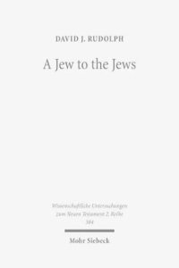 bokomslag Jew to the Jews
