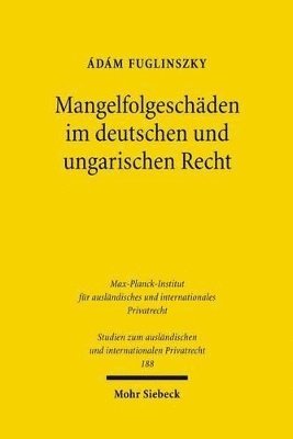 bokomslag Mangelfolgeschden im deutschen und ungarischen Recht