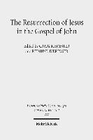 The Resurrection of Jesus in the Gospel of John