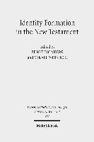 bokomslag Identity Formation in the New Testament