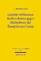 Garantie wirksamen Rechtsschutzes gegen Manahmen der Europischen Union 1