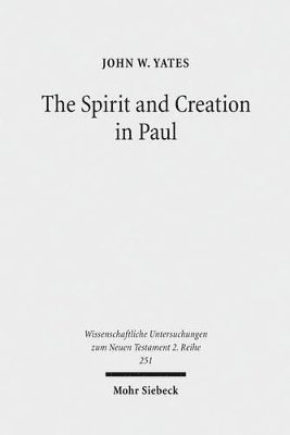 bokomslag Spirit and Creation in Paul