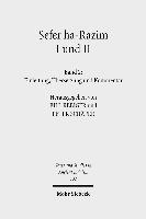 Bill Rebiger, Peter Schäfer, Peter Schafer - Sefer ha-Razim I und II - Das Buch der Geheimnisse I und II, Inbunden