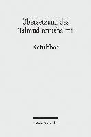 bokomslag UEbersetzung des Talmud Yerushalmi
