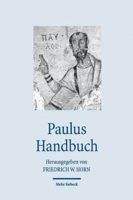 bokomslag Paulus Handbuch