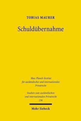 bokomslag Schuldbernahme
