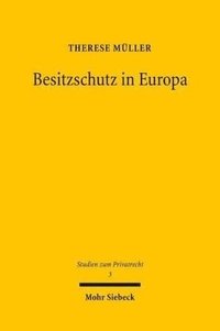 bokomslag Besitzschutz in Europa