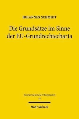 bokomslag Die Grundstze im Sinne der EU-Grundrechtecharta