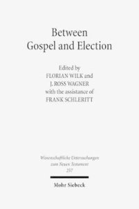 bokomslag Between Gospel and Election