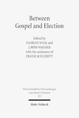 bokomslag Between Gospel and Election