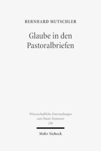 bokomslag Glaube in den Pastoralbriefen