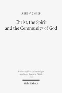 bokomslag Christ, the Spirit and the Community of God