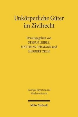 bokomslag Unkrperliche Gter im Zivilrecht