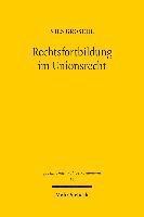 Nils Grosche - Rechtsfortbildung im Unionsrecht, Häftad