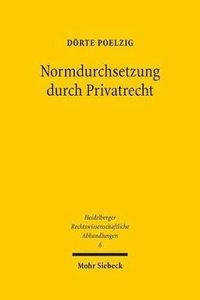 bokomslag Normdurchsetzung durch Privatrecht