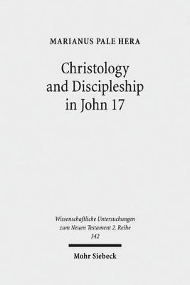 bokomslag Christology and Discipleship in John 17