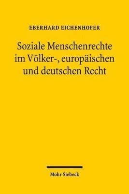 bokomslag Soziale Menschenrechte im Vlker-, europischen und deutschen Recht