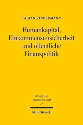 bokomslag Humankapital, Einkommensunsicherheit und ffentliche Finanzpolitik
