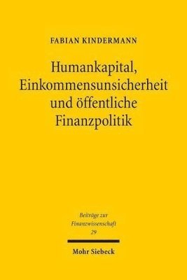 bokomslag Humankapital, Einkommensunsicherheit und ffentliche Finanzpolitik