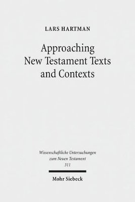 bokomslag Approaching New Testament Texts and Contexts