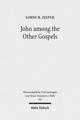 bokomslag John among the Other Gospels