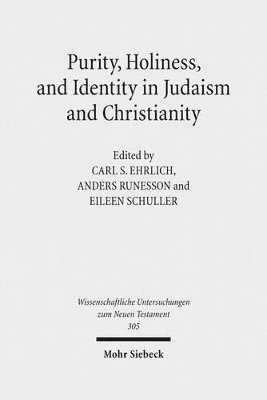 bokomslag Purity, Holiness, and Identity in Judaism and Christianity