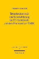 Tatsachenkontrolle und Beweisfhrung im EU-Kartellrecht auf dem Prfstand der EMRK 1