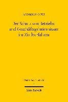 Der Schutz von Betriebs- und Geschftsgeheimnissen im Zivilverfahren 1