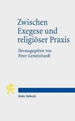 Peter Gemeinhardt - Zwischen Exegese und religiöser Praxis, Häftad