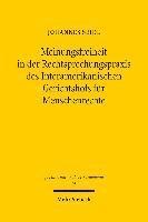 Meinungsfreiheit in der Rechtsprechungspraxis des Interamerikanischen Gerichtshofs fr Menschenrechte 1