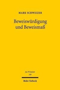 bokomslag Beweiswrdigung und Beweisma