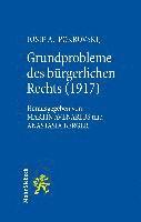 bokomslag Grundprobleme des brgerlichen Rechts (1917)