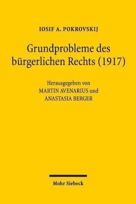 bokomslag Grundprobleme des brgerlichen Rechts (1917)