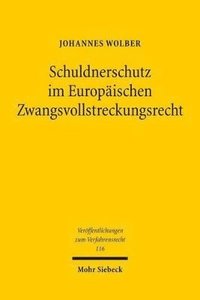 bokomslag Schuldnerschutz im Europischen Zwangsvollstreckungsrecht