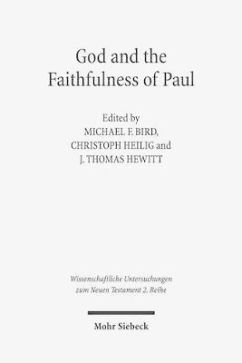 bokomslag God and the Faithfulness of Paul