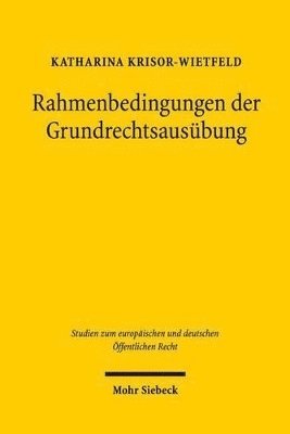 bokomslag Rahmenbedingungen der Grundrechtsausbung