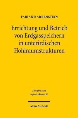 bokomslag Errichtung und Betrieb von Erdgasspeichern in unterirdischen Hohlraumstrukturen