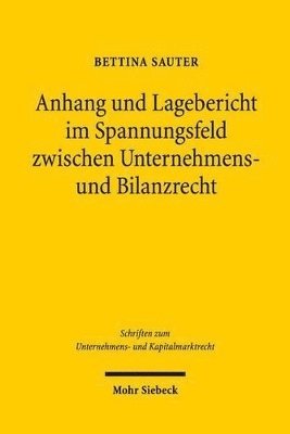 bokomslag Anhang und Lagebericht im Spannungsfeld zwischen Unternehmens- und Bilanzrecht