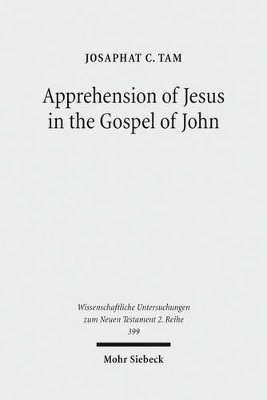 bokomslag Apprehension of Jesus in the Gospel of John