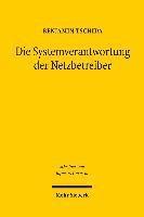 Die Systemverantwortung der Netzbetreiber 1